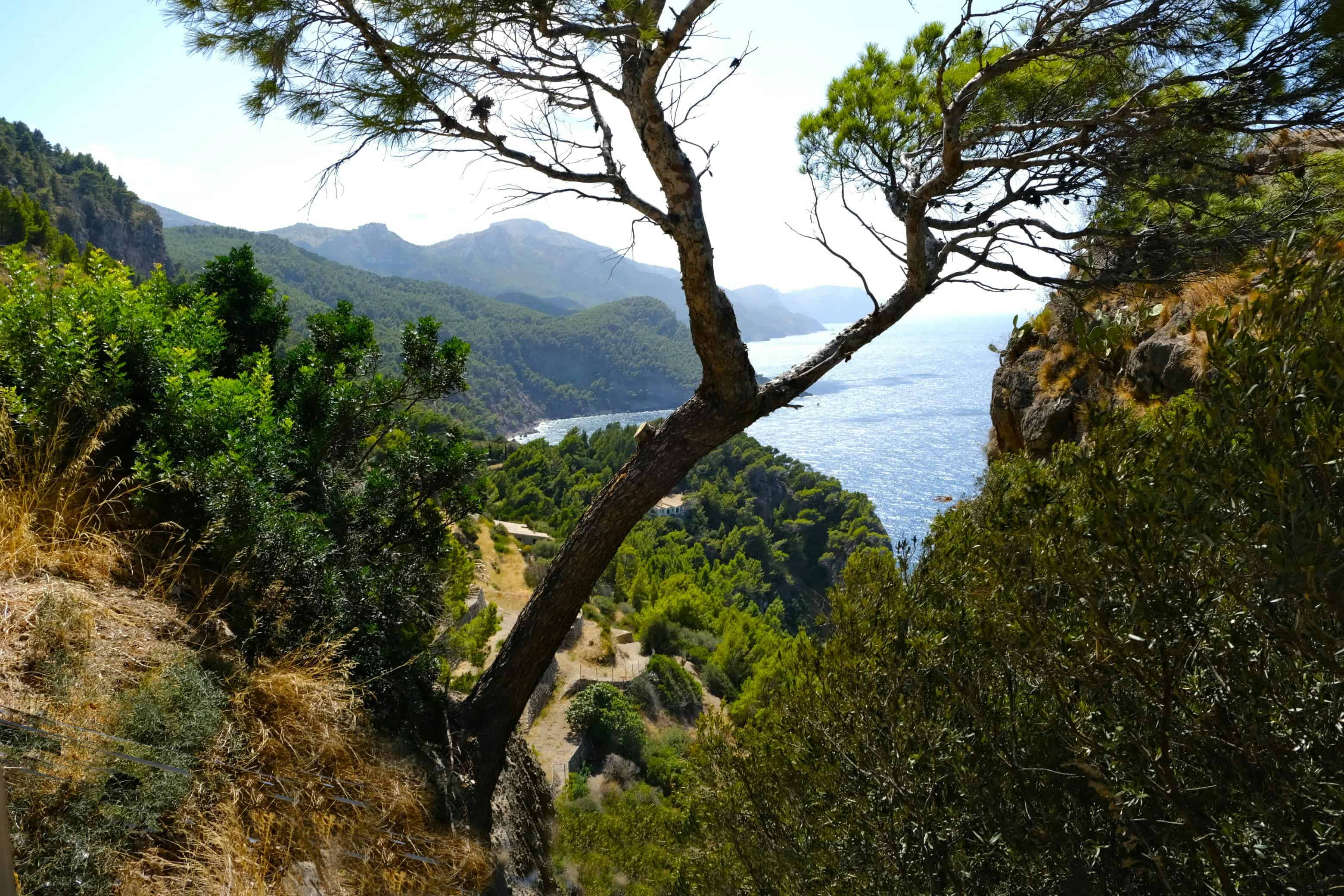 Vista panoramica di un paesaggio naturale eco-friendly in Spagna